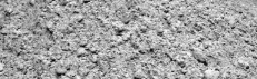 about-image2