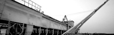 about-image2
